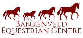 Bankenveld Equestrian Centre